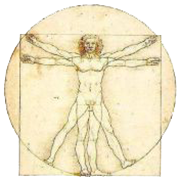 Logo der Webseite, Leonardo da Vincis Vitruvianischer Mensch